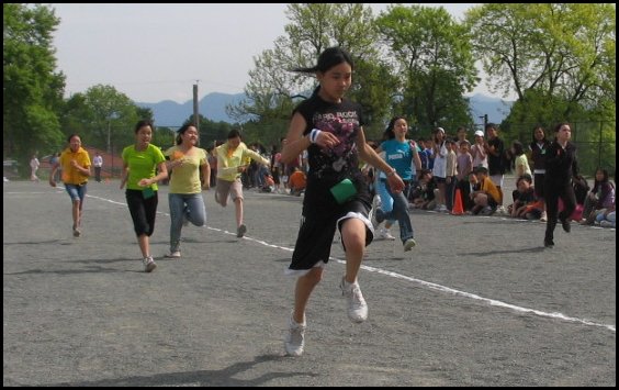 Field 012.jpg
